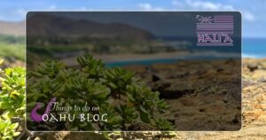 private tours of Hawaii