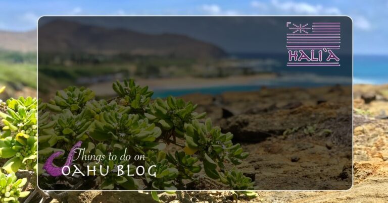 private tours of Hawaii