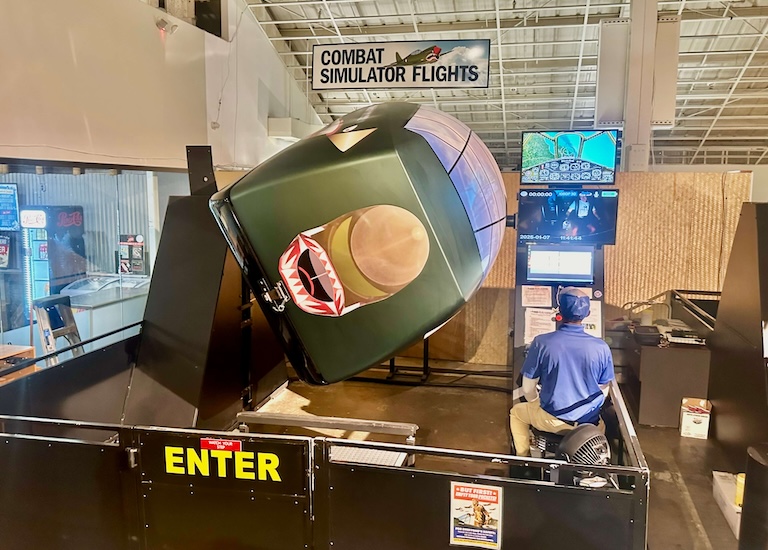 Combat flight simulator