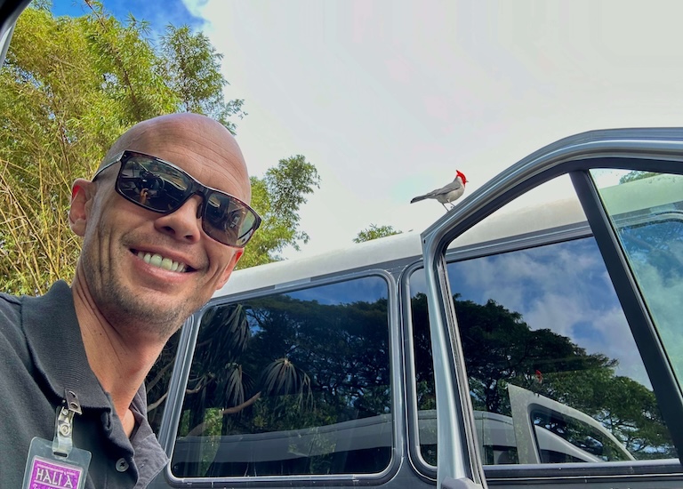 3 day Hawaii tour