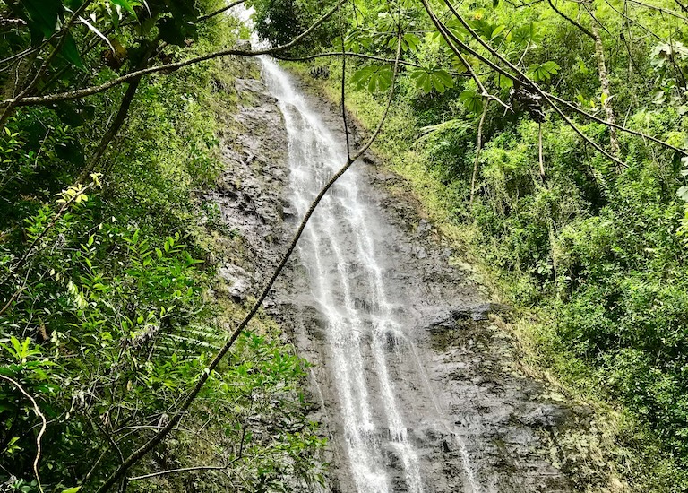 manoa family adventure oahu
