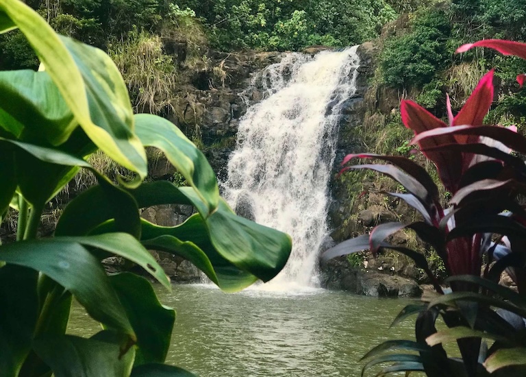 Waimea family activities Oahu