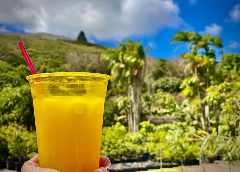 local family activities oahu