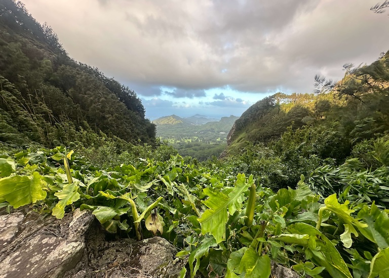 pali lookout oahu hawaii