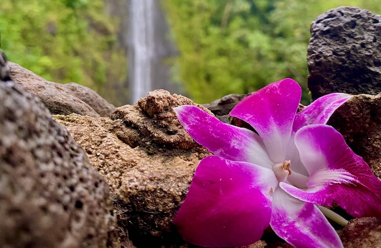 Manoa Valley waterfall hike