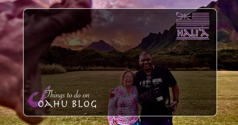 1 Day Honolulu Touring