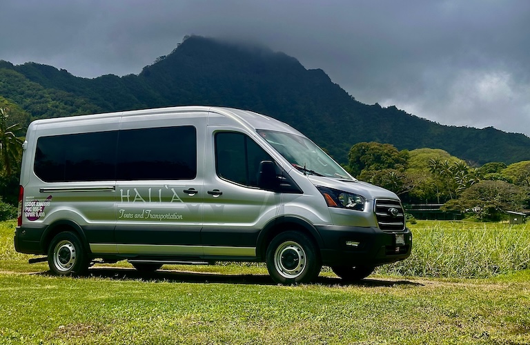 Private Tour Guide Van