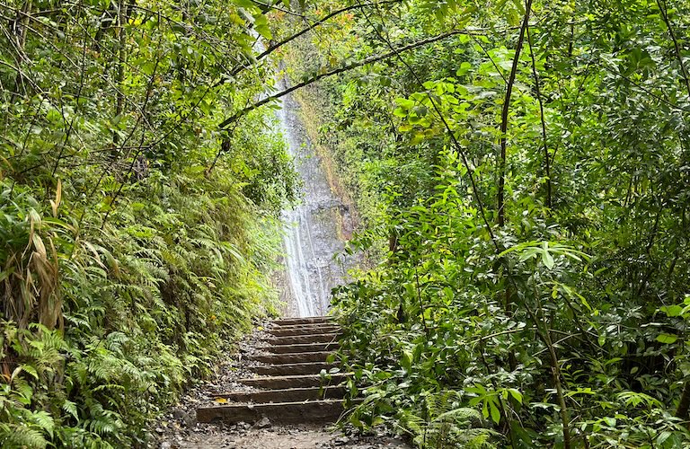 Honolulu waterfall hike