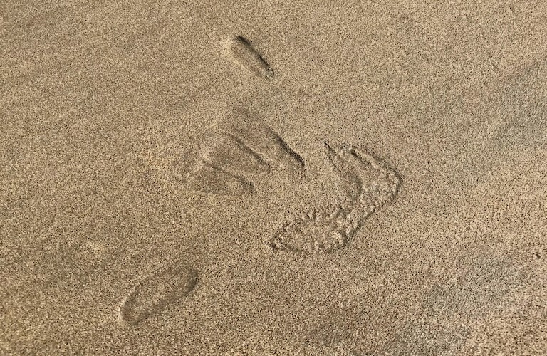 Hawaii shaka beach sand