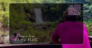 Oahu half day tours