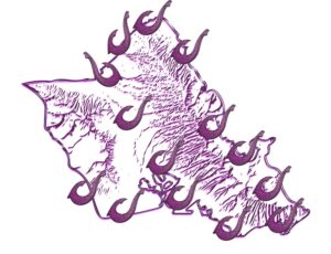 Honolulu exursions tour map