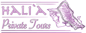 Halia Private Tours Logo
