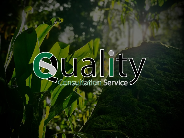 Small business web design