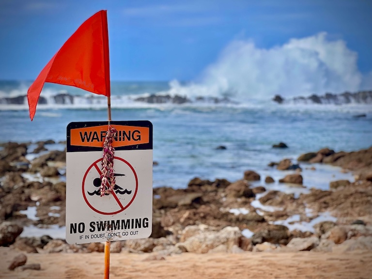 Hawaii tour health safety