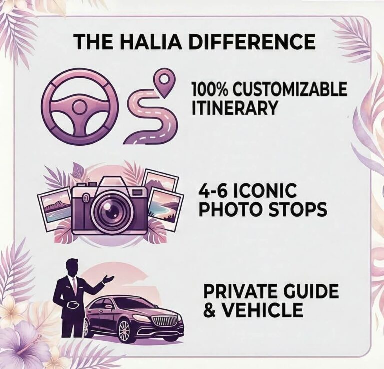 Pearl Harbor Island Tour Infographic