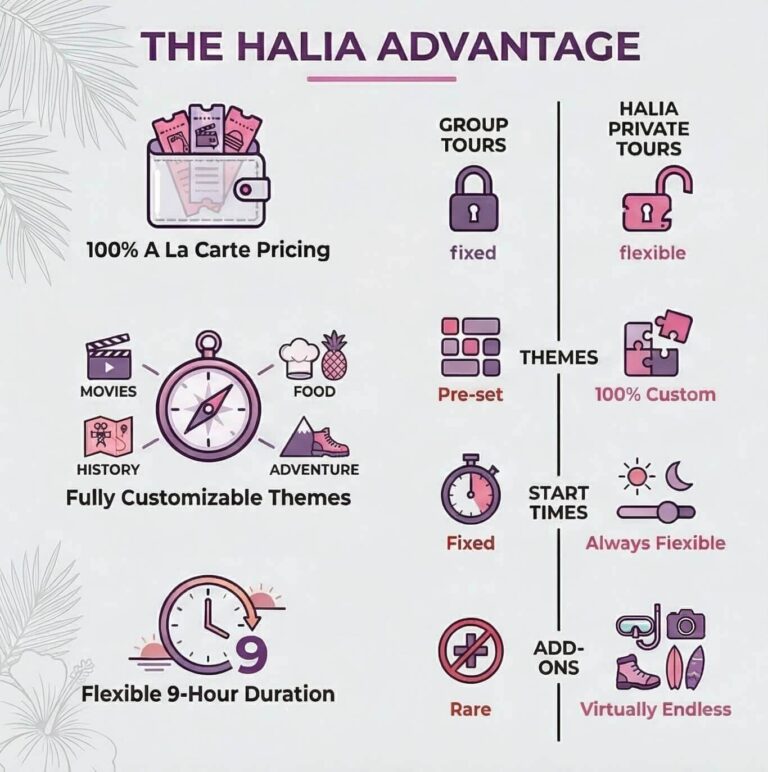 full-day custom island tour infographic