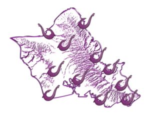 Oahu shopping tour map
