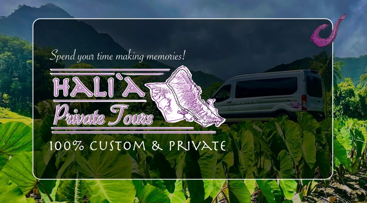 Halia Tours and Transportation | Private Tours Oahu Hawaii photo 2