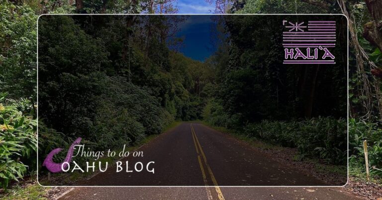 Best Oahu Scenic Drives