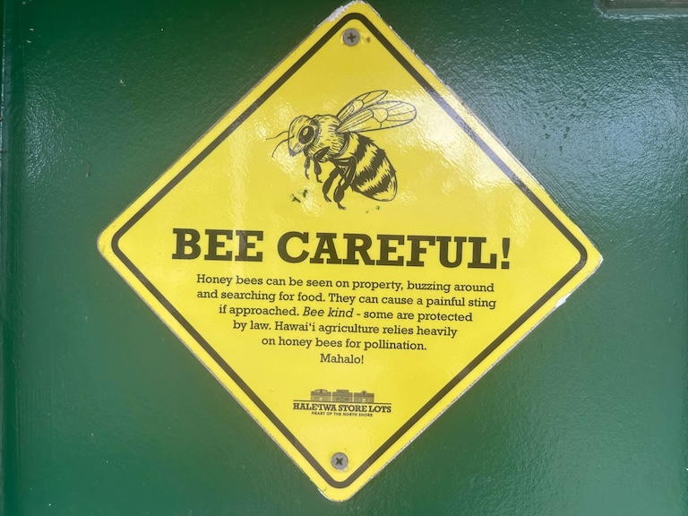 Hawaii travel advice caution