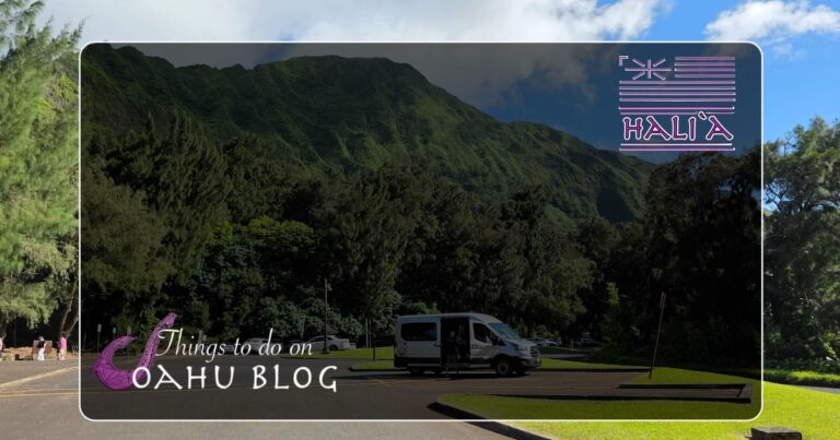 Hawaii traveler advice Oahu