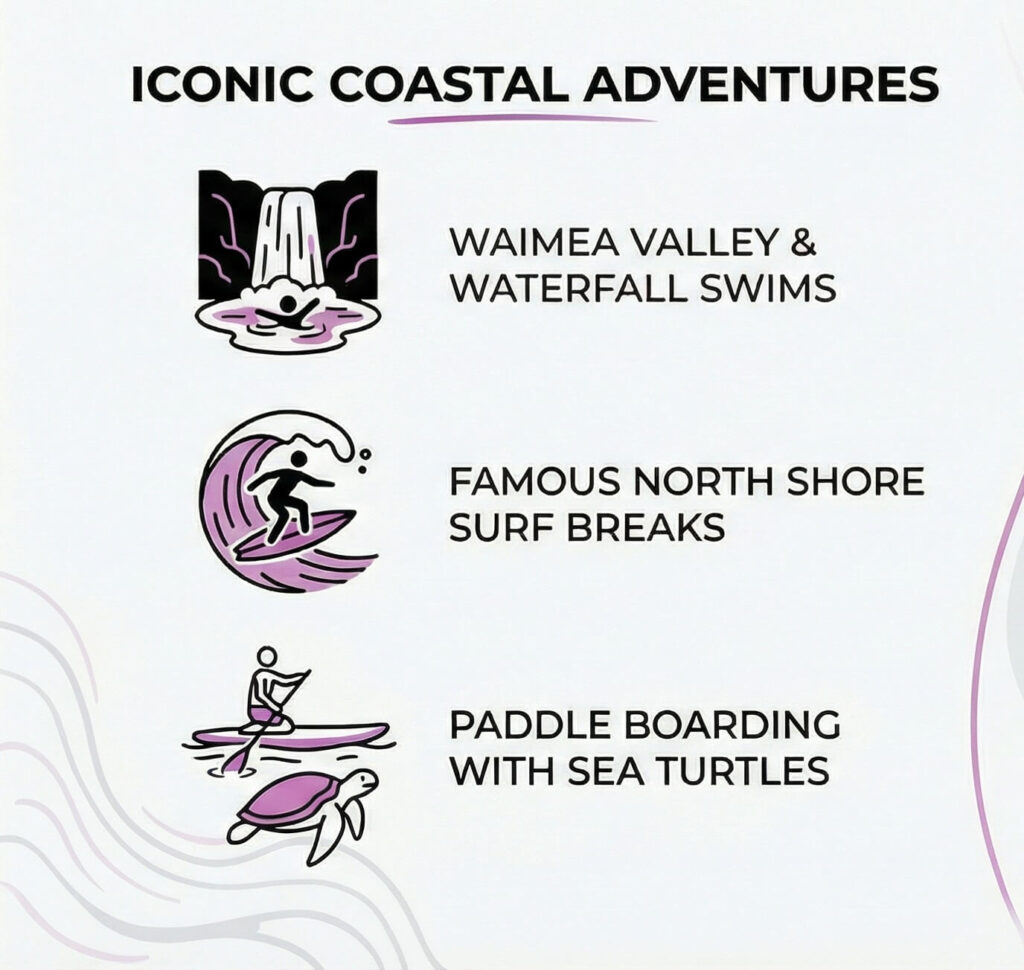 North Shore adventures infographic