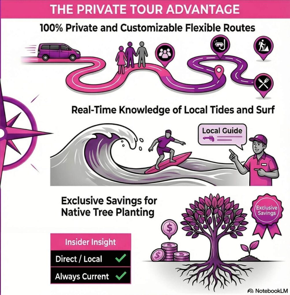 private-tour-hawaii-infographic