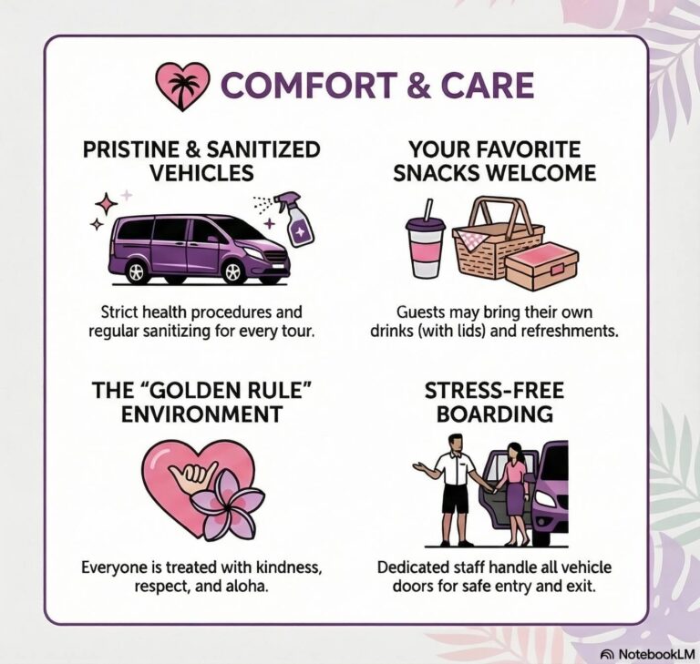 comfortable private transportation infographic
