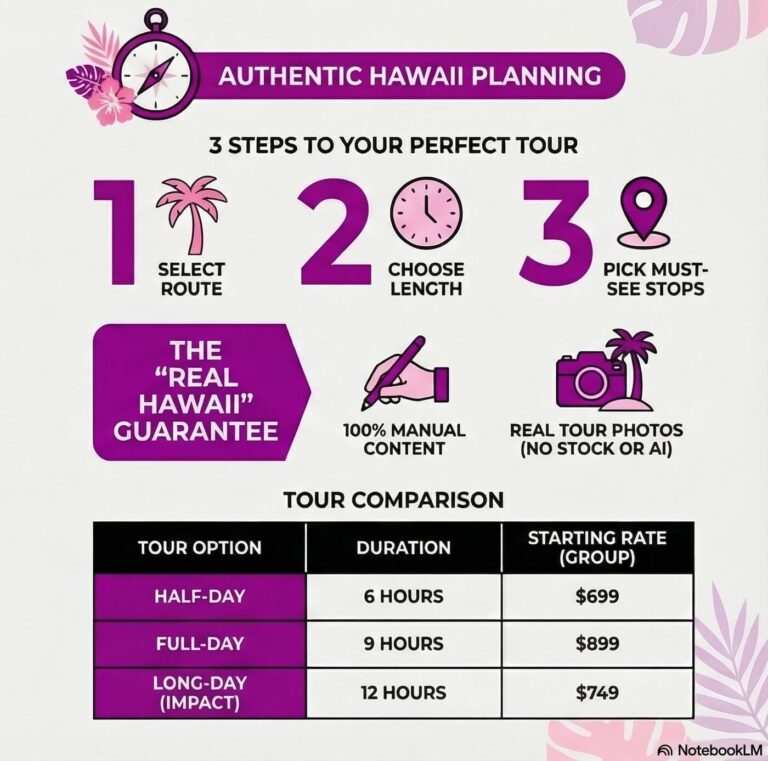 hawaii transportations service planning infographic