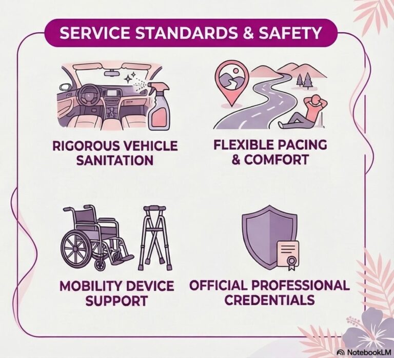 Healthy Hawaii transportation service infographic