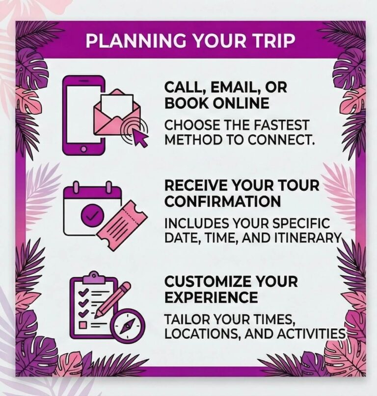 Hawaii tour guide planning infographic